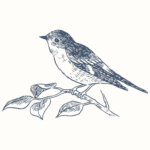 トリセツ文庫の鳥